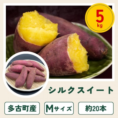 多古町産さつまいも「シルクスイート」5kg