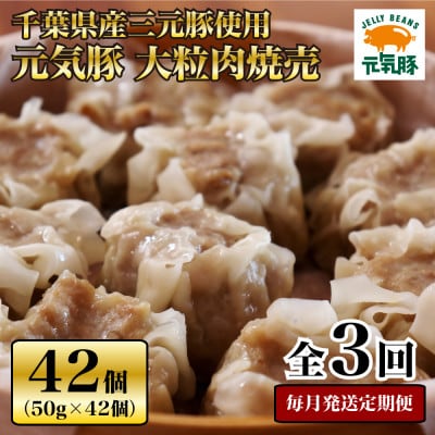 【毎月定期便】元気豚 大粒肉焼売セット 42個セット(計2.1kg)全3回【配送不可地域：離島・沖縄県】