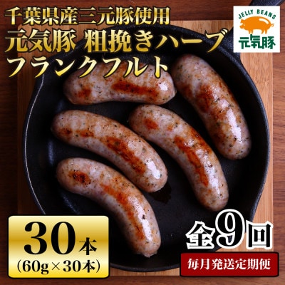 【毎月定期便】元気豚 粗挽きハーブフランクフルト 30本セット 1.8kg(60g×30本)全9回【配送不可地域：離島・沖縄県】