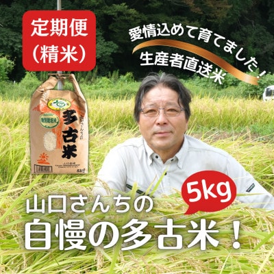 【毎月定期便】山口さんちの多古米コシヒカリ(精米)5kg全6回【配送不可地域：離島】