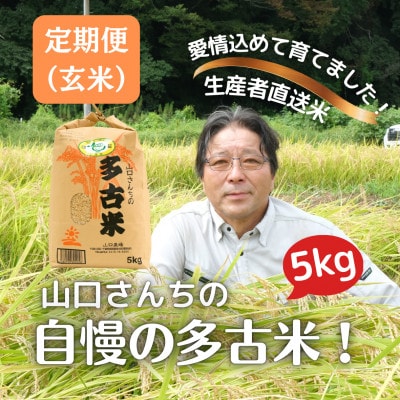 【毎月定期便】山口さんちの多古米コシヒカリ(玄米)5kg全6回【配送不可地域：離島】