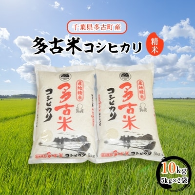 【令和7年産】多古米コシヒカリ　精米10kg(5kg×2袋)【配送不可地域：離島・沖縄県】
