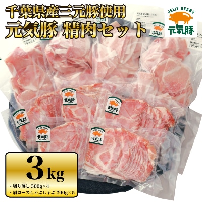 【農場直送】千葉県産三元豚　元気豚 精肉セット 3kg【配送不可地域：離島・沖縄県】