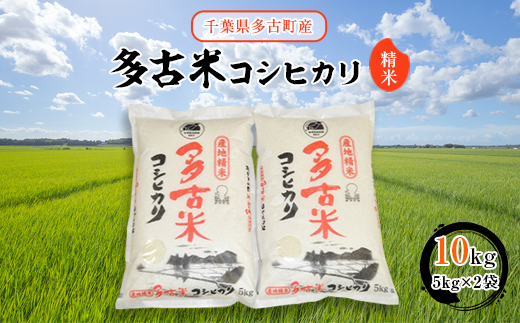 【令和7年産】多古米コシヒカリ　精米10kg(5kg×2袋)【配送不可地域：離島・沖縄県】