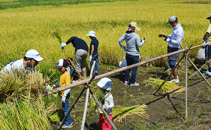 田植え体験・単回型コース 田植え 田んぼ 体験 チケット 体験チケット 新米 農業 九十九里町 千葉県