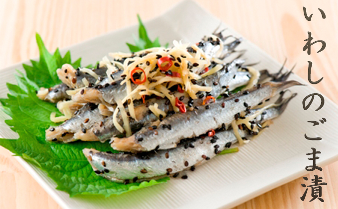 いわし 黒潮セット 漬魚 みりん干し おかず おつまみ つまみ 海鮮 魚介 魚介類 加工食品 醸造酢 生姜 唐辛子 黒煎りごま 人気の一品 酒の肴