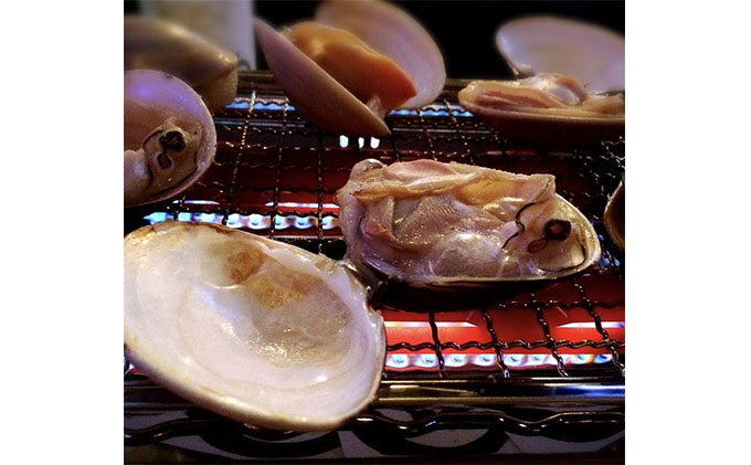 はまぐり 定期便 3ヶ月 九十九里産 天然はまぐり 1.5kg ご注文時お勧めサイズお任せ セット 貝 海鮮 海産物 海の幸 魚介 魚介類 水産 水産物 国産 天然 地元漁師が厳選 産地直送 冷蔵 冷蔵配送 千葉 千葉県 九十九里 九十九里町 定期 お楽しみ 3回