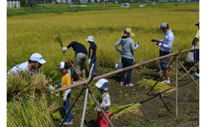 【先行予約】田植え体験・稲刈り体験パック型コース