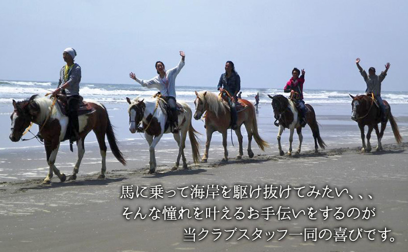 乗馬 千葉 SUNSHINE STABLES フリーデイ（全日） 体験 チケット サンシャインスクーリングパック 馬 アクティビティ アウトドア スポーツ ギフト券 券 体験チケット 旅行 千葉県 九十九里 九十九里町