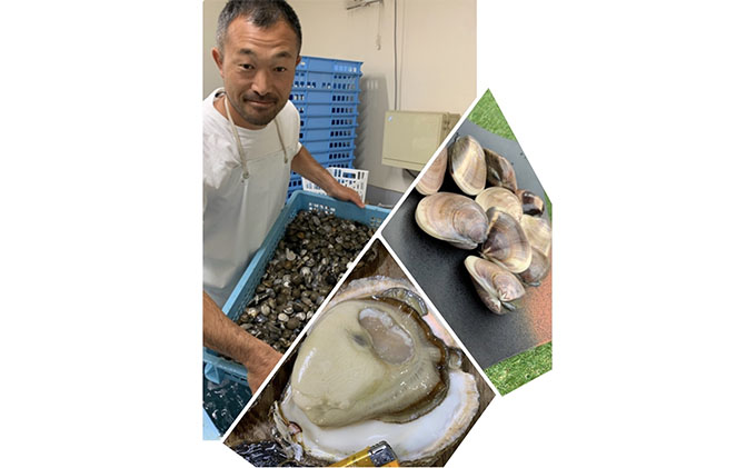 はまぐり 定期便 3ヶ月 九十九里産 天然はまぐり 1.5kg ご注文時お勧めサイズお任せ セット 貝 海鮮 海産物 海の幸 魚介 魚介類 水産 水産物 国産 天然 地元漁師が厳選 産地直送 冷蔵 冷蔵配送 千葉 千葉県 九十九里 九十九里町 定期 お楽しみ 3回