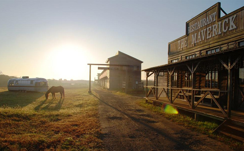 乗馬 千葉 SUNSHINE STABLES フリーデイ（全日） 体験 チケット サンシャインスクーリングパック 馬 アクティビティ アウトドア スポーツ ギフト券 券 体験チケット 旅行 千葉県 九十九里 九十九里町