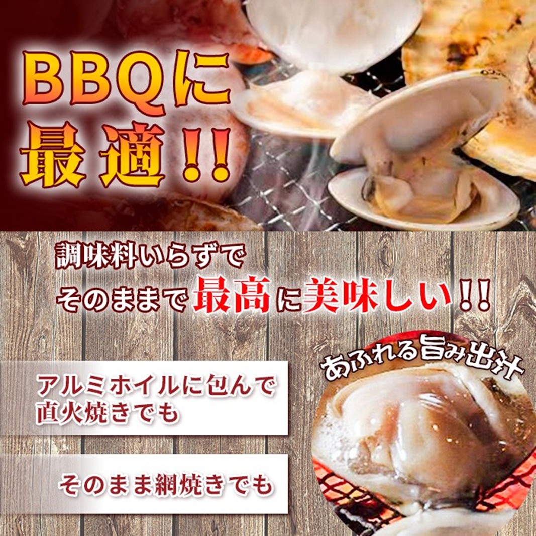 訳あり はまぐり 規格外 大はまぐり 4パック 計 1.6kg 貝 海鮮 魚介 海の幸 ハマグリ 蛤 海産物 国産 天然 産地直送 千葉県 九十九里 九十九里浜