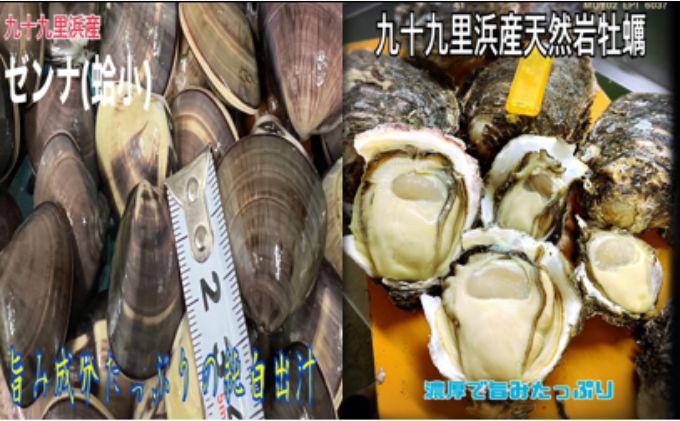 期間限定品純白出汁の天然”ゼンナ”とうま味が濃い天然岩牡蠣セット各2kg　合計4kg