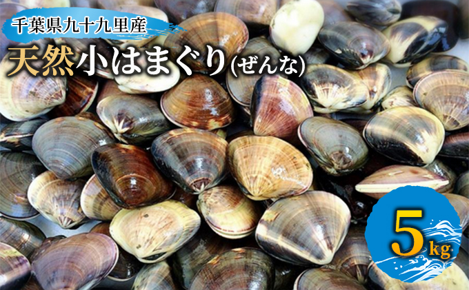 千葉県九十九里産天然小はまぐり(ぜんな)5kg