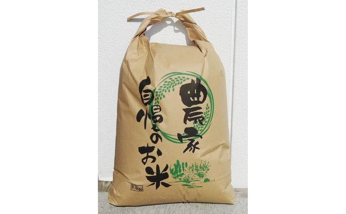 米 先行予約 コシヒカリ 又は ふさこがね 10kg まなびファーム 新米 白米 精米 ご飯 ブランド米 産地直送 送料無料 先行 予約 こめ コメ おこめ ごはん 千葉 千葉県 九十九里町