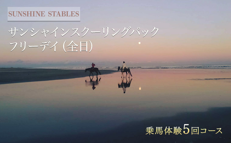 乗馬 千葉 SUNSHINE STABLES フリーデイ（全日） 体験 チケット サンシャインスクーリングパック 馬 アクティビティ アウトドア スポーツ ギフト券 券 体験チケット 旅行 千葉県 九十九里 九十九里町