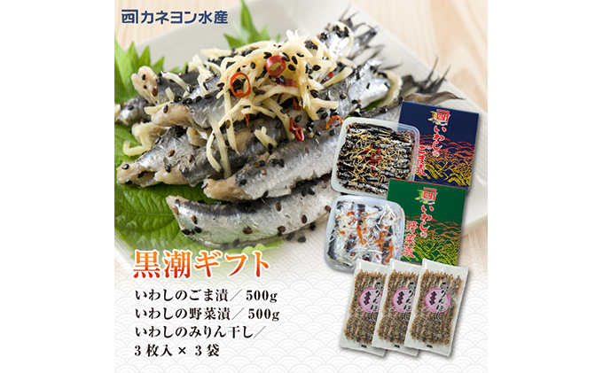 いわし 黒潮セット 漬魚 みりん干し おかず おつまみ つまみ 海鮮 魚介 魚介類 加工食品 醸造酢 生姜 唐辛子 黒煎りごま 人気の一品 酒の肴