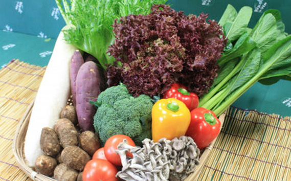 野菜セット（10種以上）