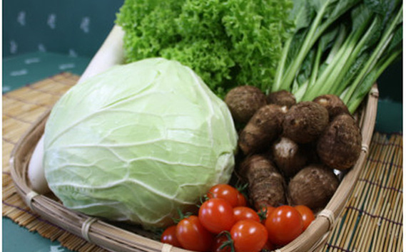 野菜セット（5～6種）+米2kg