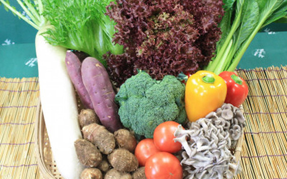 野菜セット（9～10種）+米3kg