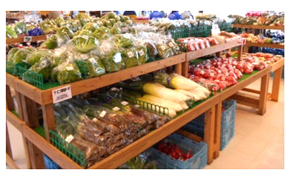 野菜セット（10種以上）