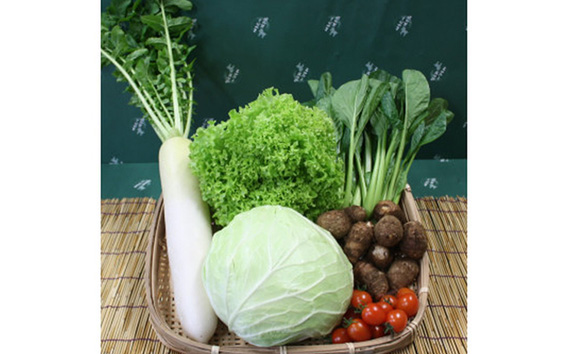 野菜セット（5～6種）+米2kg