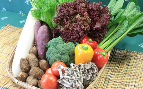 野菜セット10種以上＋米10kg＋古代米バウムクーヘン