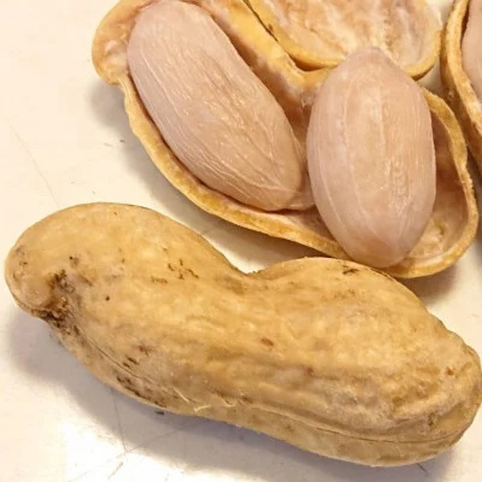 冷凍ゆで豆・おおまさり　500g×2袋