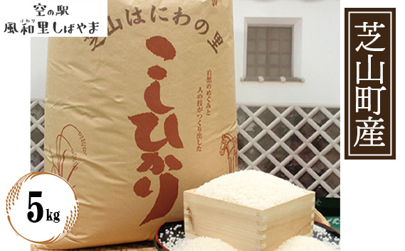 令和7年産　芝山産コシヒカリ5kg（精米）