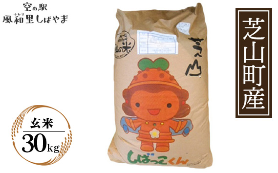 令和7年産　芝山産コシヒカリ30kg（玄米）