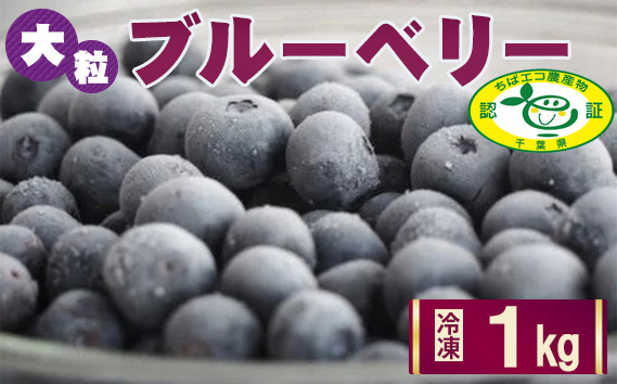 ［栽培期間中農薬不使用］大粒冷凍ブルーベリー1kg「るりしずく」　千葉県芝山町産