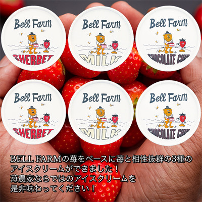 イチゴ農家のこだわり いちごアイスクリーム詰め合わせセット　Bell Farm(3種×2個)6個【配送不可地域：離島】