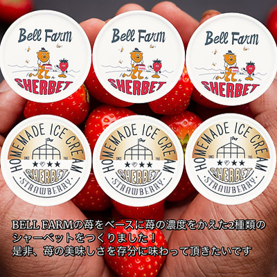 農家直送!の美味しい いちごシャーベット　BELL FARM 2種×3　6個セット【配送不可地域：離島】