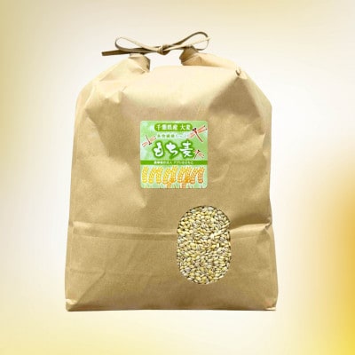 【毎月定期便】食物繊維たっぷりの「もち麦」(きはだもち) 4kg 千葉県横芝光町産全12回