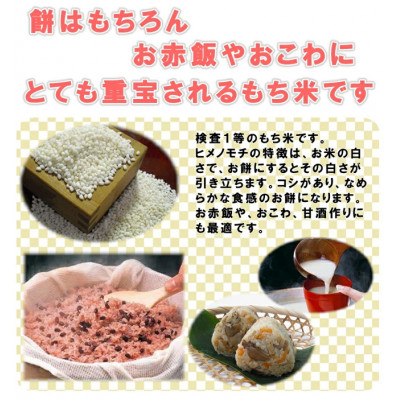 もち米10kg　千葉県産ヒメノモチ白米(5kg×2袋)　新米 お餅やお赤飯に