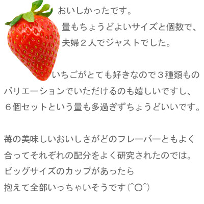 イチゴ農家のこだわり いちごアイスクリーム詰め合わせセット　Bell Farm(3種×2個)6個【配送不可地域：離島】