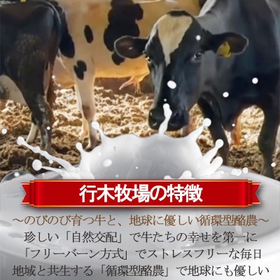 牧場アイス 季節のお勧め大人気6個セット【行木牧場のアイスクリームセット】しぼりたて牛乳で作りました【配送不可地域：離島】