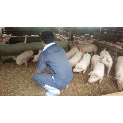 千葉県産房総オリヴィアポーク・ヒレ肉かつ・ソテー用【配送不可地域：離島】