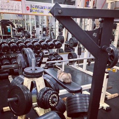 スポーツジムドリーム　ビジター回数券(2,000円分×5枚)　