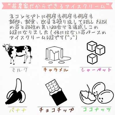 摘み立て苺アイス 人気のいちごアイスクリームセット　Bell Farm のこだわり 6個セット【配送不可地域：離島】