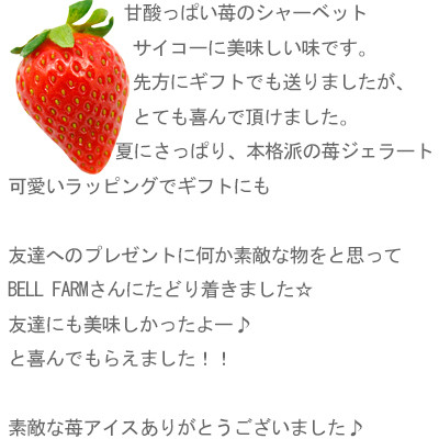 農家直送!の美味しい いちごシャーベット　BELL FARM 2種×3　6個セット【配送不可地域：離島】