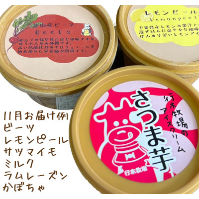 牧場アイス 季節のお勧め大人気12個セット【行木牧場アイスクリームセット】しぼりたて牛乳で作りました【配送不可地域：離島】