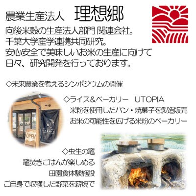 【毎月定期便】6ヶ月連続お届け!理想郷ミルキークイーン 精米(白米)5kg千葉大学共同研究米全6回