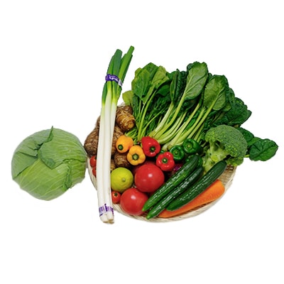 朝採り野菜詰め合わせセット【配送不可地域：離島・北海道・沖縄県・東北・中国・四国・九州】