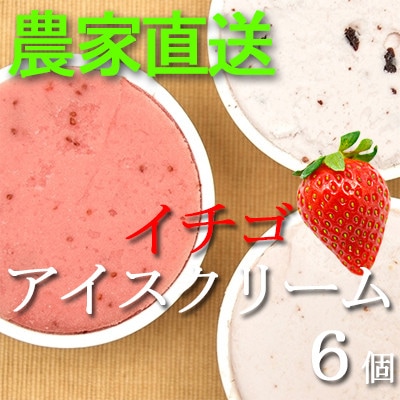 イチゴ農家のこだわり いちごアイスクリーム詰め合わせセット　Bell Farm(3種×2個)6個【配送不可地域：離島】