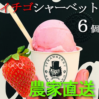 農家直送!の美味しい いちごシャーベット　BELL FARM 2種×3　6個セット【配送不可地域：離島】