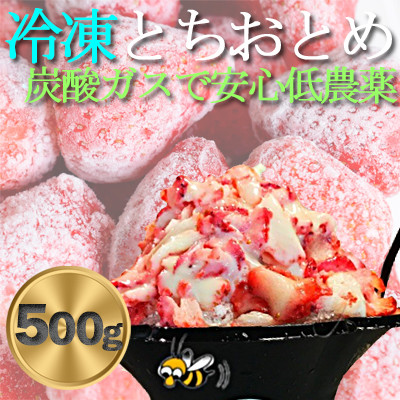 農家直送だから苺本来の美味しさ!BELL FARMの冷凍 いちご500g 収穫当日冷凍の苺【配送不可地域：離島】