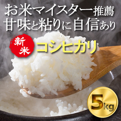 【令和7年産　新米】千葉県産コシヒカリ 精米5kg お米マイスター厳選/推奨 甘味と粘りに自信あり