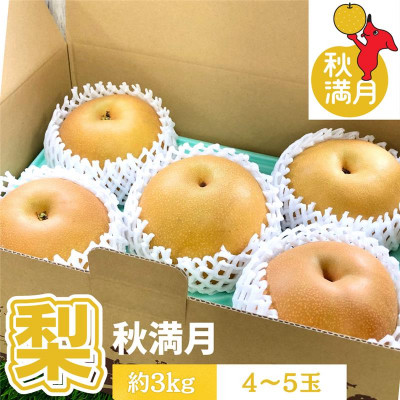 【千葉県横芝光町産】2021年デビューの新品種『秋満月』約3kg(4～5個) 満月のような大玉の梨