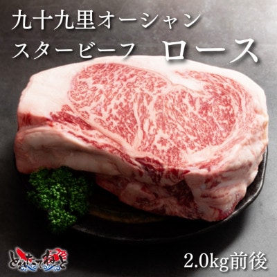 九十九里オーシャンスタービーフブロック(ロース)2.0kg前後【配送不可地域：離島】